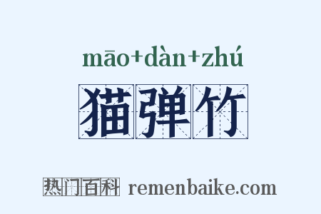 猫弹竹是什么意思的图片